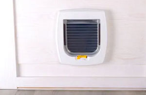 Cat Flap Fitters Hartlepool UK