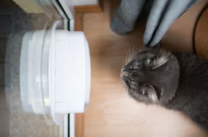 Cat Flap Fitter Near Me UK