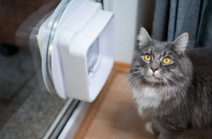 Cat Flap Installation UK