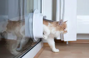 Cat Flap Installers UK Cat Flap Installers UK